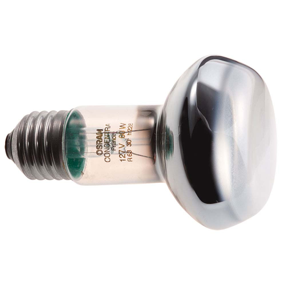 Lampada-incandescente-127V-60W-Concentra-R63-amarela-Osram