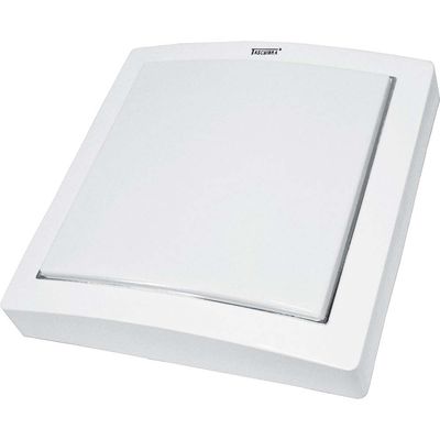 Luminaria-de-teto-2-lampadas-com-acrilico-15W-branca-Taschibra