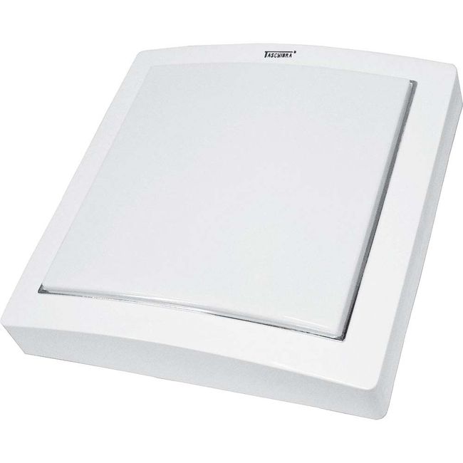 Luminaria-de-teto-2-lampadas-com-acrilico-15W-branca-Taschibra