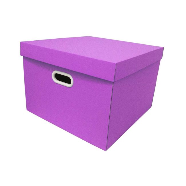 Caixa-organizadora-Storage-435x415x29cm-roxa-Boxgraphia