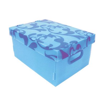 Caixa-organizadora-Clean-Color-grande-azul-Boxgraphia