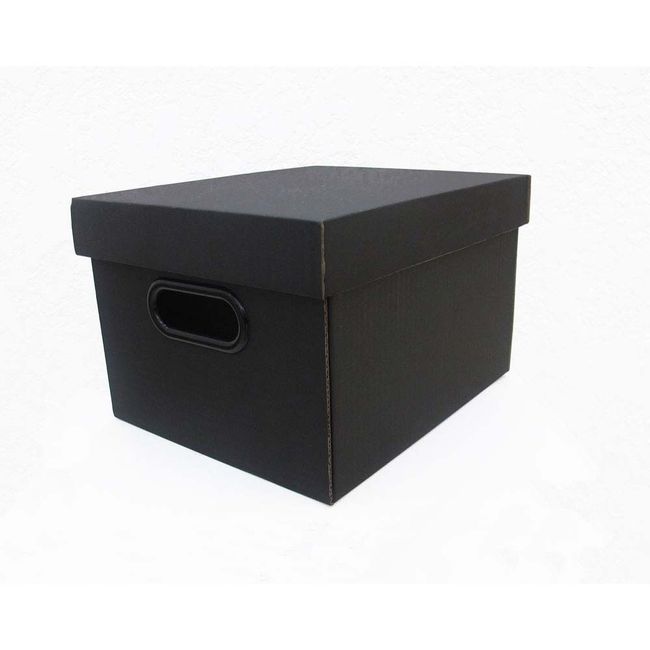 Caixa-organizadora-mini-closet-28x23x18cm-preta-Boxgraphia