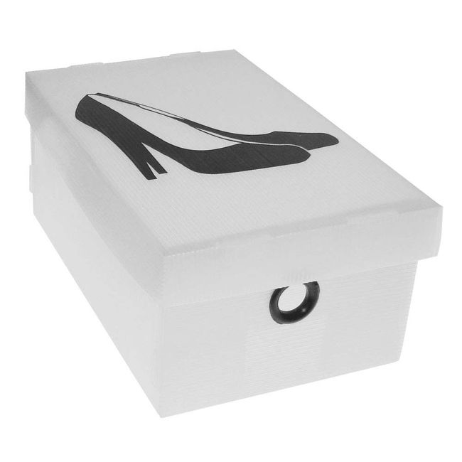 Caixa-organizadora-Stok-Clean-para-sapato-feminino-Boxgraphia