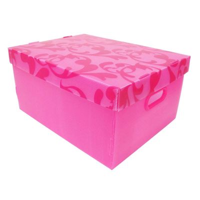 Caixa-organizadora-Clean-Color-grande-rosa-Boxgraphia