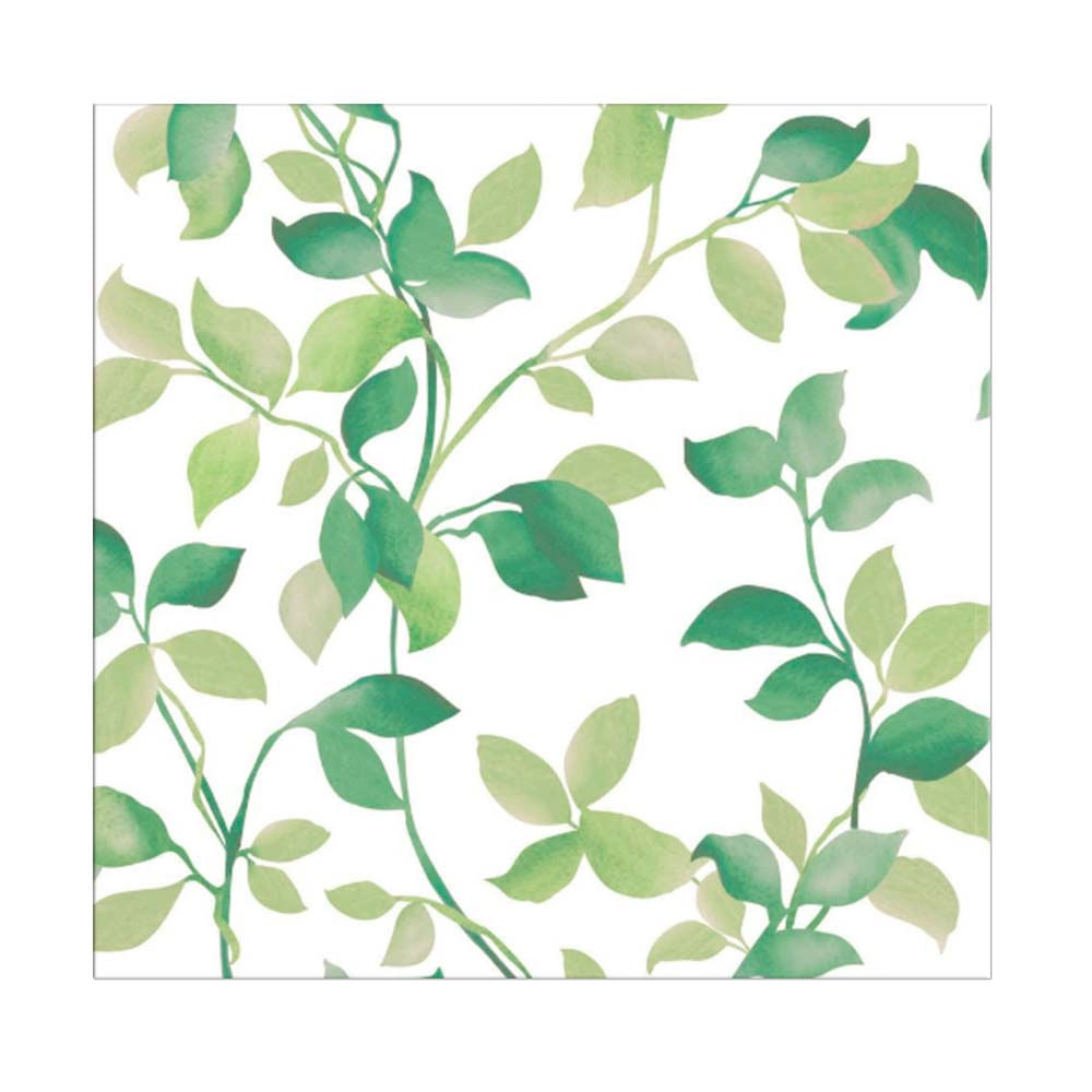 Papel-de-parede-folhagem-verde-e-branco-Allegra-vinilico-53cm-x-10m-Muresco