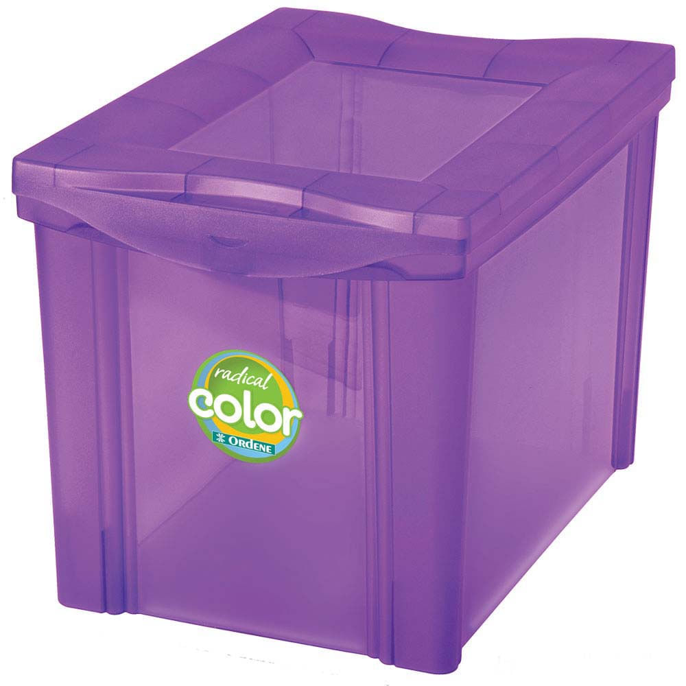 Caixa-organizadora-de-plastico-medio-RadColor-alto-30L-roxo-Ordene