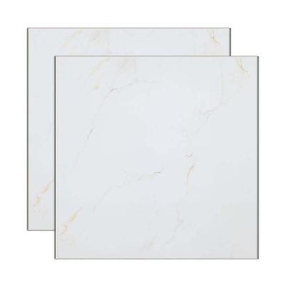 Porcelanato-retificado-60x60cm-HD-Carrara-polido-Eliane