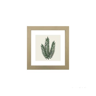 Quadro-decorativo-Green-Leaf-II-23x23cm-zebrano-Infinity