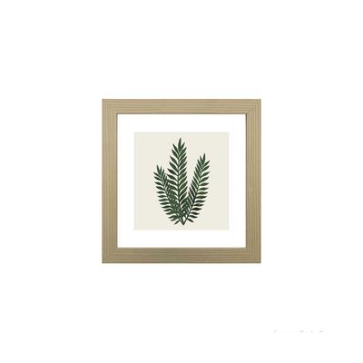 Quadro-decorativo-Green-Leaf-II-23x23cm-zebrano-Infinity