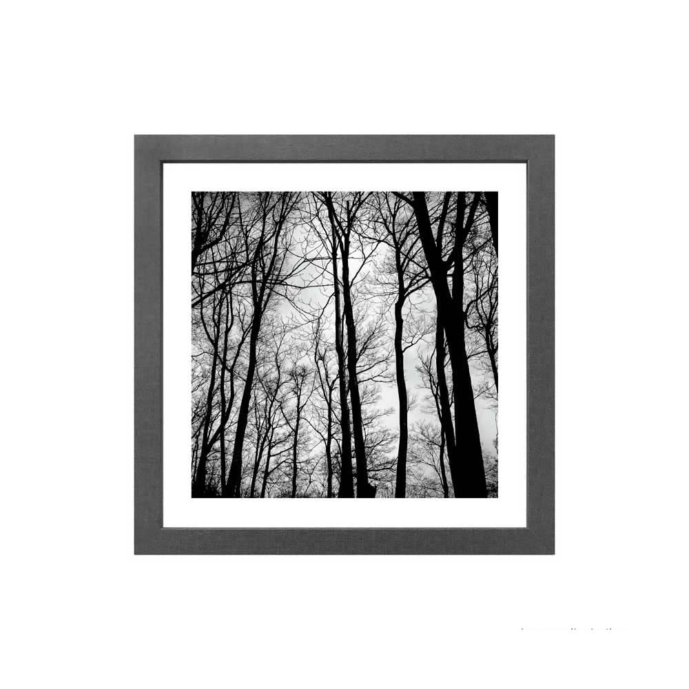 Quadro-decorativo-Trees-Black-33x33cm-cinza-Infinity