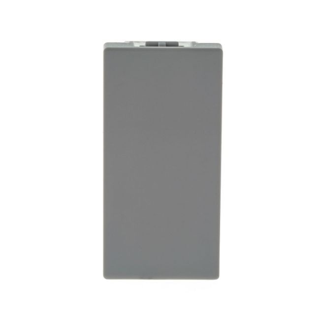 Módulo cego para interruptor cinza Pial Plus