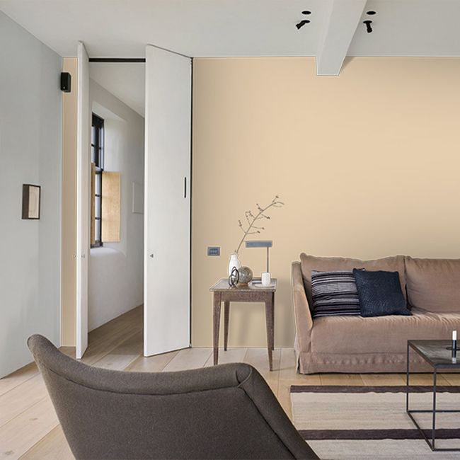 Tinta acrílica fosca Premium 3 em 1 marfim 18L Coral