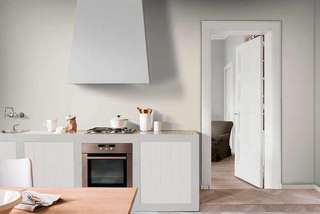 Tinta Coral Econômica Coralar Duo acrílica fosca branco gelo 18L