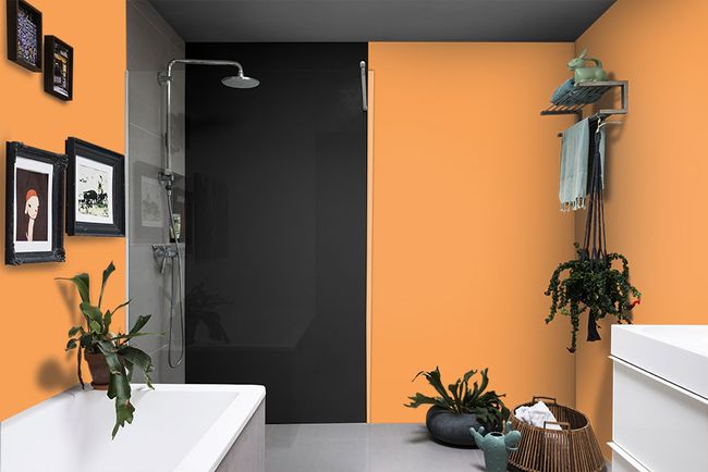 Tinta Coral Coralar Econômica Acrílica Fosca Laranja Cítrico 18 Litros