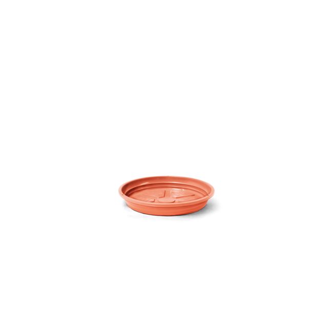Prato-Nutriplan-Redondo-02-Cor-Ceramica-1628550