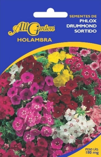 Semente-All-Garden-Phlox-Drummond-Sortido-1557912