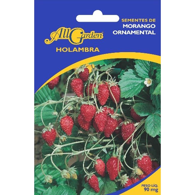 Semente-All-Garden-Morango-Ornamental-1558579
