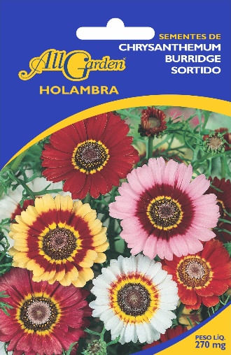 Semente-All-Garden-Chrysanthemum-Burridge-Sortido-1558757