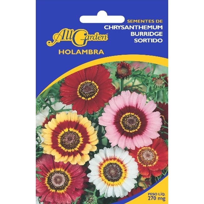 Semente-All-Garden-Chrysanthemum-Burridge-Sortido-1558757