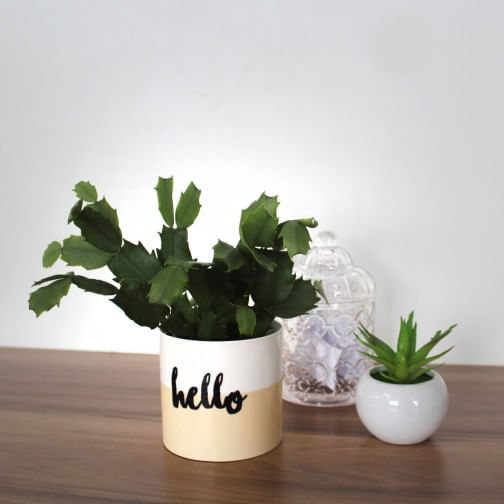 Cachepot Geguton Amarelo Hello Garden