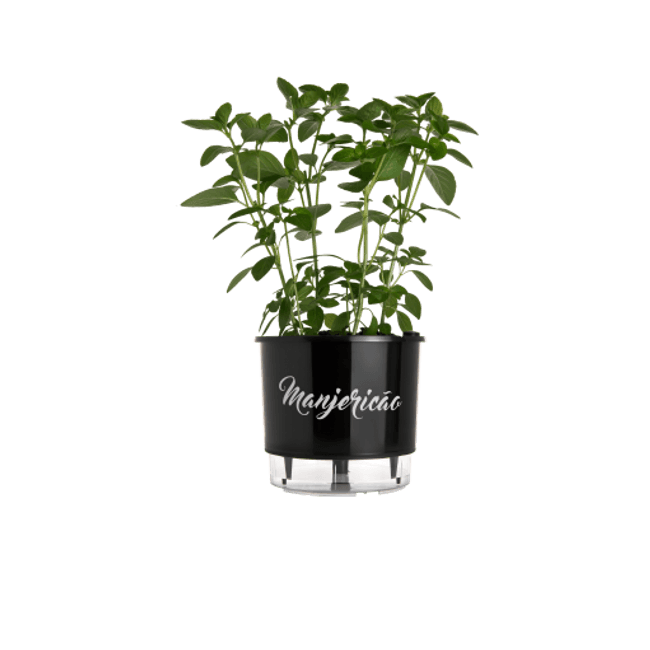 Vaso-Autoirrigavel-Manjericao-Alt--14cm-X-Larg--16cm-Preto-1635263