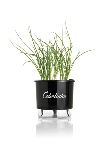 Vaso-Autoirrigavel-Cebolinha-Alt--14cm-X-Larg--16cm-Preto-1635247