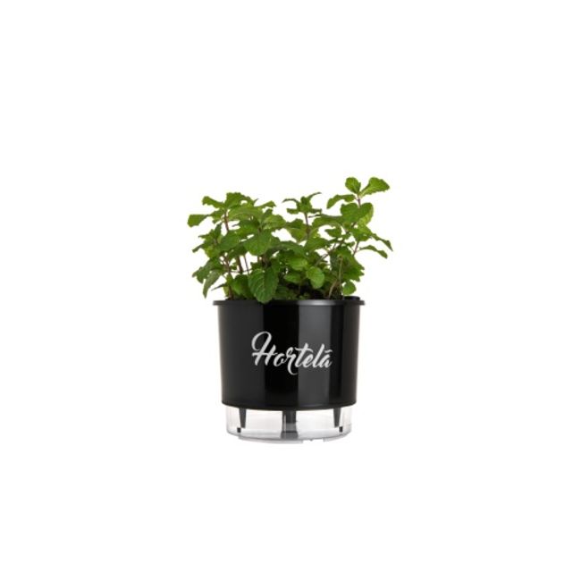 Vaso-Autoirrigavel-Hortela-Alt--14cm-X-Larg--16cm-Preto-1635255