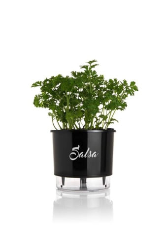 Vaso-Autoirrigavel-Salsa-Alt--14cm-X-Larg--16cm-Preto-1635271