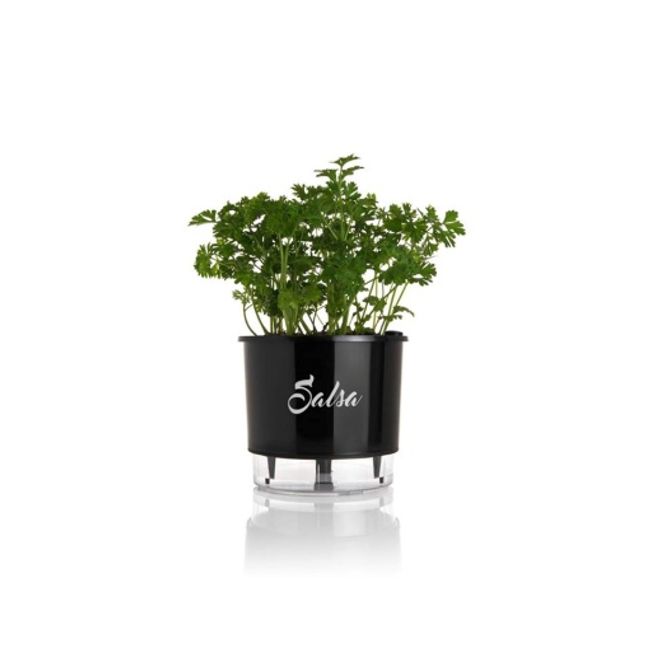 Vaso-Autoirrigavel-Salsa-Alt--14cm-X-Larg--16cm-Preto-1635271