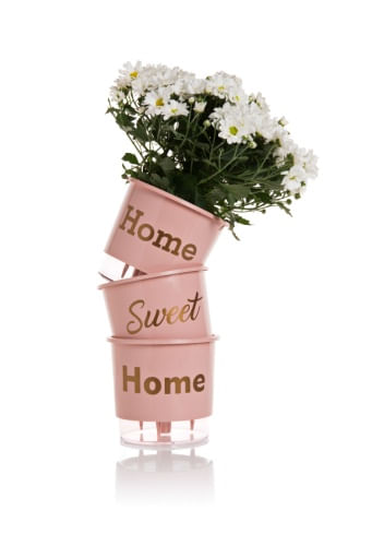 Conjunto-de-Vasos-Autoirrigaveis-Home-Sweet-Home-Alt--12cm-X-Larg--11-cm-Rosa-1635352