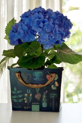 Cesto Organizador Tam. M  Protea Dello Herbal