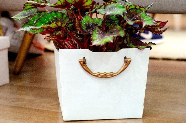 Cesto Organizador Tam. P  Protea Dello Cinza