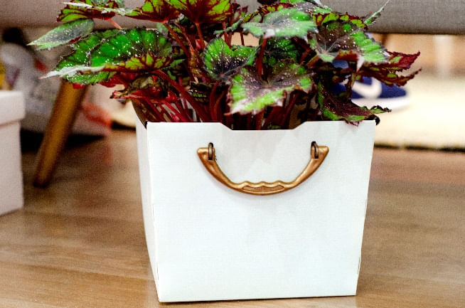 Cesto Organizador Tam. P  Protea Dello Cinza