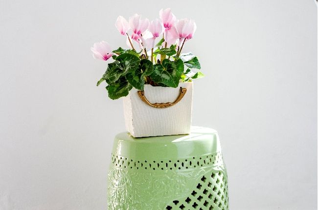 Cesto Organizador Tam. M  Protea Dello Cinza