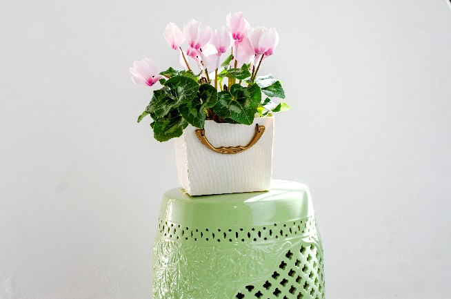 Cesto Organizador Tam. M  Protea Dello Cinza