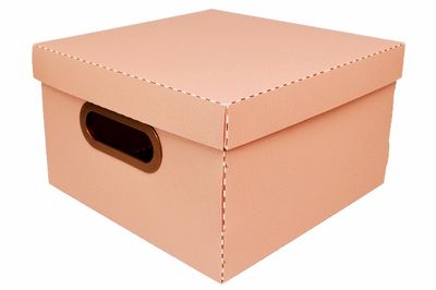 CAIXA-ORGANIZADORA-LINHO-PROTEA-TERRACOTA-LARG-X-COMPR-ALT-25X25X15CM-PEQUENA-1527924