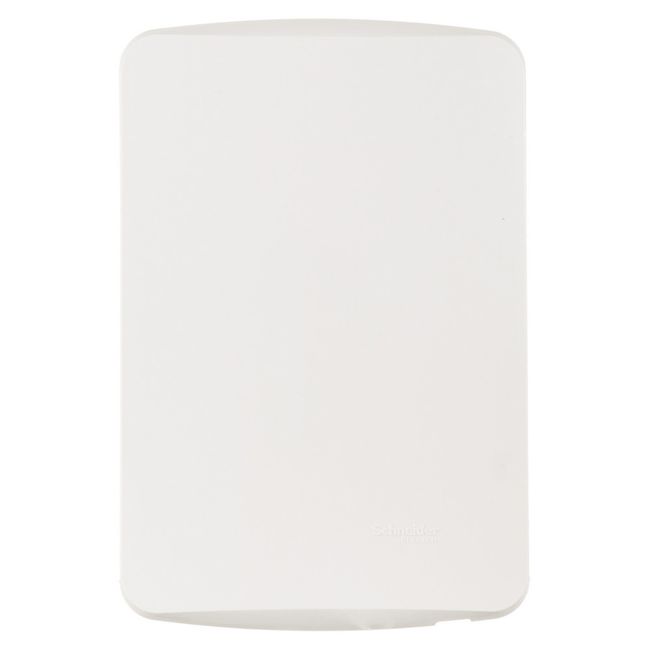 PLACA-4X2-CEGA-COM-SUPORTE-MILUZ-SCHNEIDER-1481002